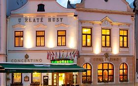 Hotel Concertino Zlatá Husa